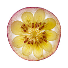 Translucent cross-section of an exotic fruit revealing its intricate internal design and vibrant colors