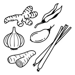 Hand drawn set of kitchen herbs and spices, organic garlic, ginger and chili pepper line art illustrations, black and white vegetable sketches on white background