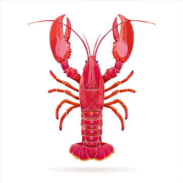 Simple flat 2D vector graphic of a Lobster in modern icon style, isolated on a white canvas