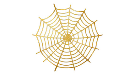 Fototapeta premium Golden spider web with intricate details