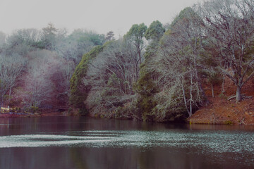 兵庫県・たつの市、「西の峠池」に初雪