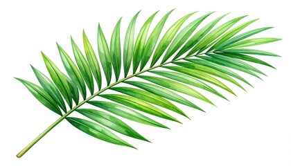 Obraz premium A digitally rendered, vibrant green palm frond, showcasing detailed leaf structure and delicate shading, set against a white backdrop