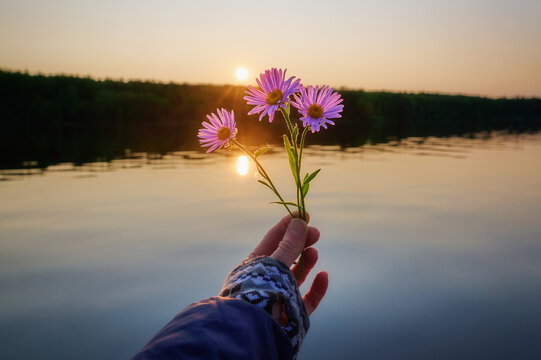 Wildflowers in his hand against the background of the setting sun.