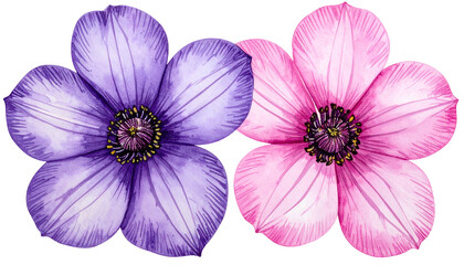 Two watercolor flowers, one lavender and one pink, side by side with textured centers