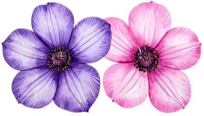 Two watercolor flowers, one lavender and one pink, side by side with textured centers