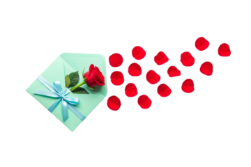 Light blue envelope with red rose and flying petals isolated on transparent background
