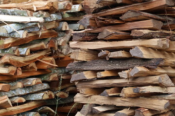 Trees cut down and stacked as firewood, dried logs prepared for burning, showing traditional use of natural resources in rural daily life.