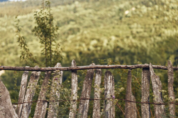 Fence wooden rustic countryside rural texture closeup of weathered wooden fence with blurred green hills