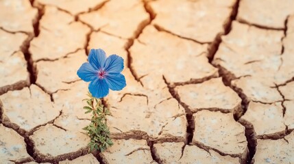 Flower thriving in drought, close-up background, perfect for conservation messages, resilience promotions, or powerful natural art.