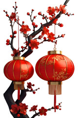 chinese new year lantern