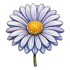 White Daisy Flower with Purple Tint Vector Illustration