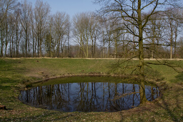 Caterpillar Crater mine explosion site at Hill 60 Belgium. Massive World War I mine crater from the...