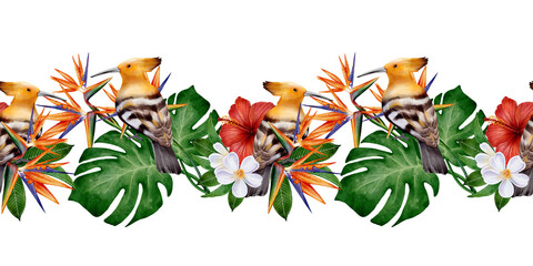 Watercolor seamless tropical border with hoopoe birds, hibiscus, strelitzia and monstera leaves on white background, raster illustration for summer banners, invitations, cards and botanical decor. © Alona