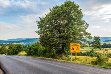 Landscapes, Forest, Carpathians, Photos of nature - Europe, Eastern Europe