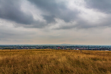 Landscapes, Forest, Carpathians, Photos of nature - Europe, Eastern Europe