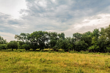 Landscapes, Forest, Carpathians, Photos of nature - Europe, Eastern Europe