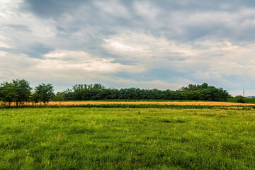 Landscapes, Forest, Carpathians, Photos of nature - Europe, Eastern Europe