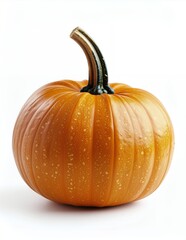Vibrant Orange Pumpkin with Stem on White Background.