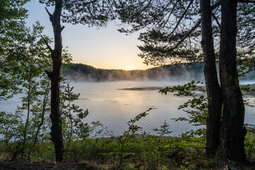Sunrise light breaks through morning fog on Vlasina Lake with trees in the foreground framing a peaceful lakeside vista.