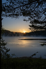 A tranquil sunrise over Vlasina Lake in Serbia framed by silhouetted trees and mist rising from the calm water. Golden sunlight reflects across the lake surface.