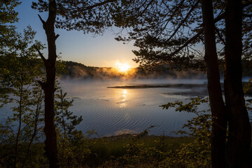 Sunrise light breaks through morning fog on Vlasina Lake with trees in the foreground framing a peaceful lakeside vista.