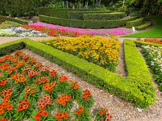 Obraz premium Roma Street Parkland in Brisbane, Australia with Lush Gardens and Colorful Flower Displays