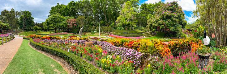 Obraz premium Roma Street Parkland in Brisbane, Australia with Lush Gardens and Colorful Flower Displays