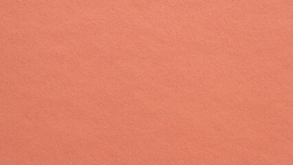 Minimal Coral Cardstock Backdrop with Natural Fibrous Design