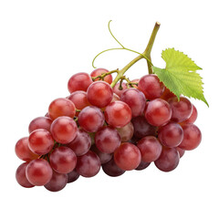 Fototapeta premium A bunch of red grapes