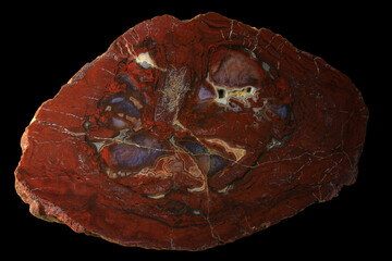 Slice of Petrified Wood with Agate from India
