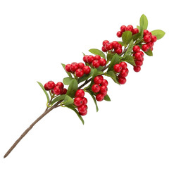 Branch of red berries