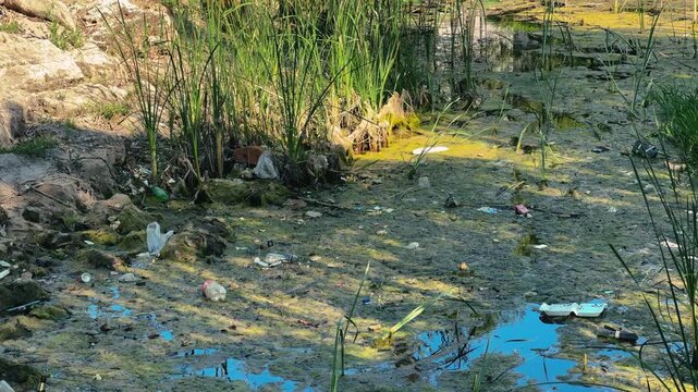 A close-up of a swampy pond with plastic debris, trash float in green algae water in a polluted and stagnant urban environment. High quality 4k footage