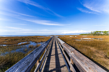 Wooden boardwalk winding through marshland at Salinas Park, Cape San Blas, Florida © Randy