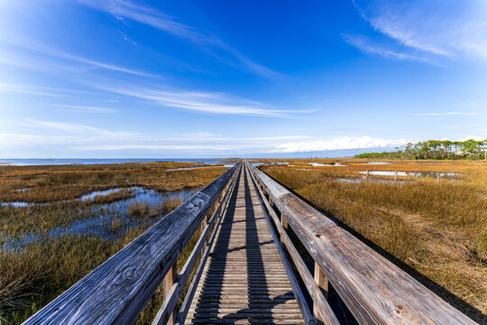 Wooden boardwalk winding through marshland at Salinas Park, Cape San Blas, Florida