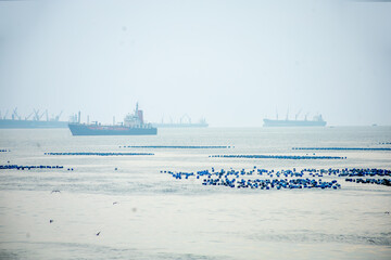 The Large cargo ship park at the Koh Loi Sriracha port