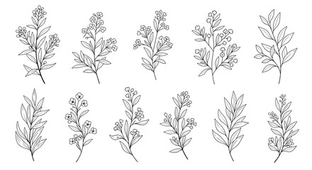Set of hand drawn small flower and leaf branches in various styles for delicate botanical illustrations and nature themed design elements.