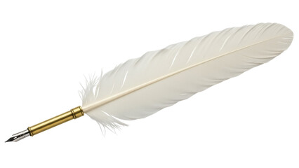 Isolated traditional quill pen for writing, antique feather writer object, creative concept