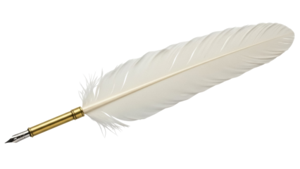 Isolated traditional quill pen for writing, antique feather writer object, creative concept