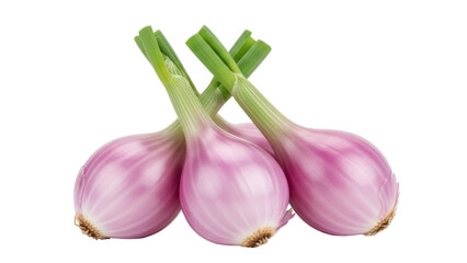 Isolated spring onions, with green stalks and pink bulbs for cooking a healthy meal at home