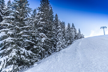 Obraz premium A beautiful winter scene in the mountains of Slovakia, featuring heavy snow on evergreen spruce trees along a groomed ski slope under a clear blue sky