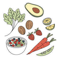 Healthy Raw Food Ingredients Collection  Minimal V (9) Vector Illustration