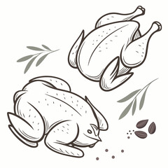 Raw Chicken Meat Pieces  Flat Vector Illustration  (10) Vector Illustration