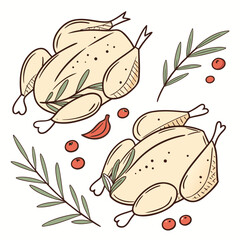 Raw Chicken Meat Pieces  Flat Vector Illustration  (11) Vector Illustration