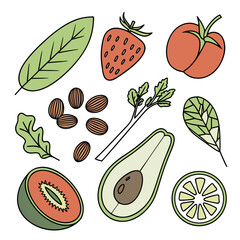 Healthy Raw Food Ingredients Collection  Minimal V (11) Vector Illustration