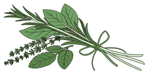 Fresh Herbs And Greens Bundle  Minimal Vector  Whi (9) Vector Illustration