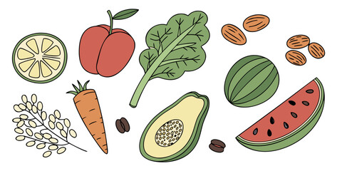 Healthy Vegan Food Ingredients  Flat Vector  White (8) Vector Illustration