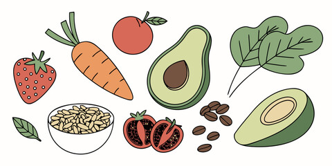 Healthy Vegan Food Ingredients  Flat Vector  White (10) Vector Illustration