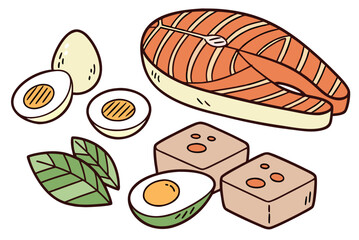 Fresh Protein Food Collection  Clean Vector  White (4) Vector Illustration