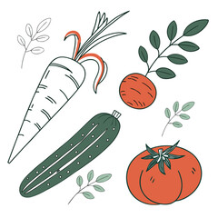Natural Vegetables With Simple Shapes  Flat Vector (5) Vector Illustration