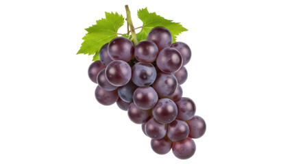 Fototapeta premium Isolated red grapes, fresh fruit with leaves on stem, nutritious food and snack product